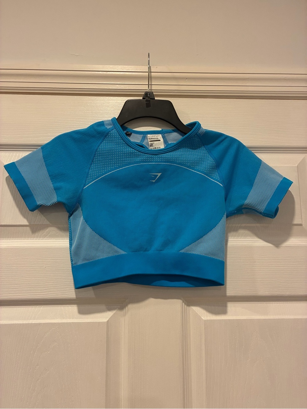 Gymshark Blue Seamless Cropped Workout Top